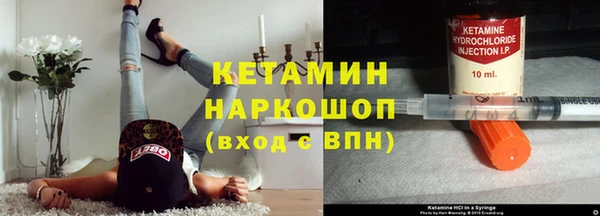сатива Абинск