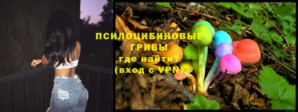 сатива Абинск
