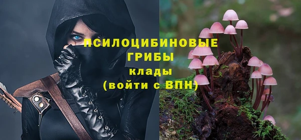 мяу мяу мука Алексеевка