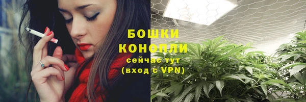 сатива Абинск