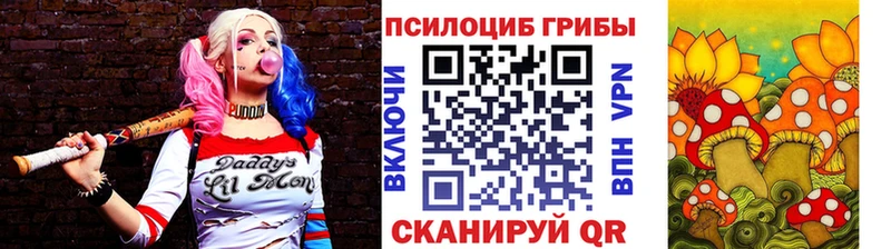 Галлюциногенные грибы Psilocybe  Шумерля 